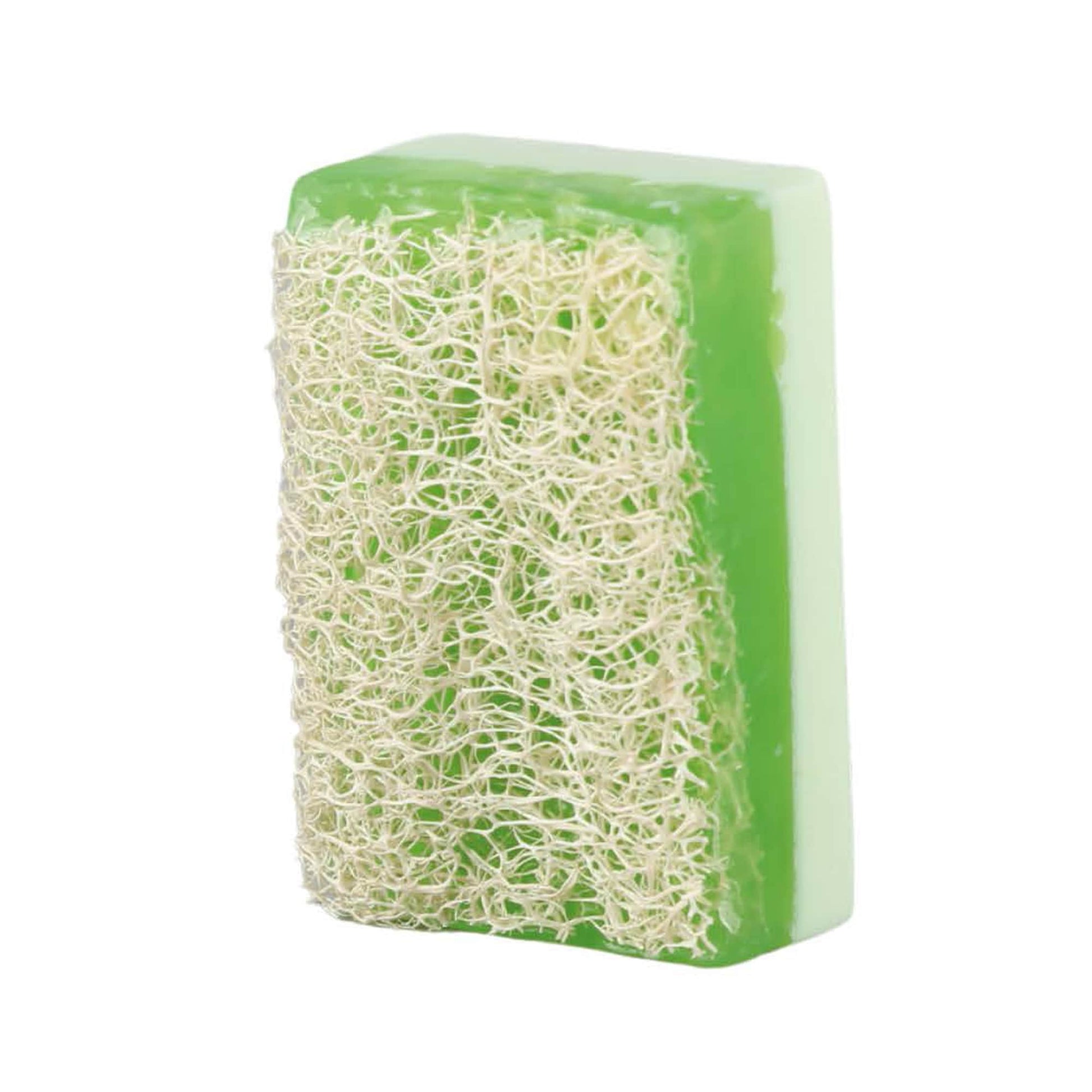 Fresh aloe vera natural soap with embedded loofah