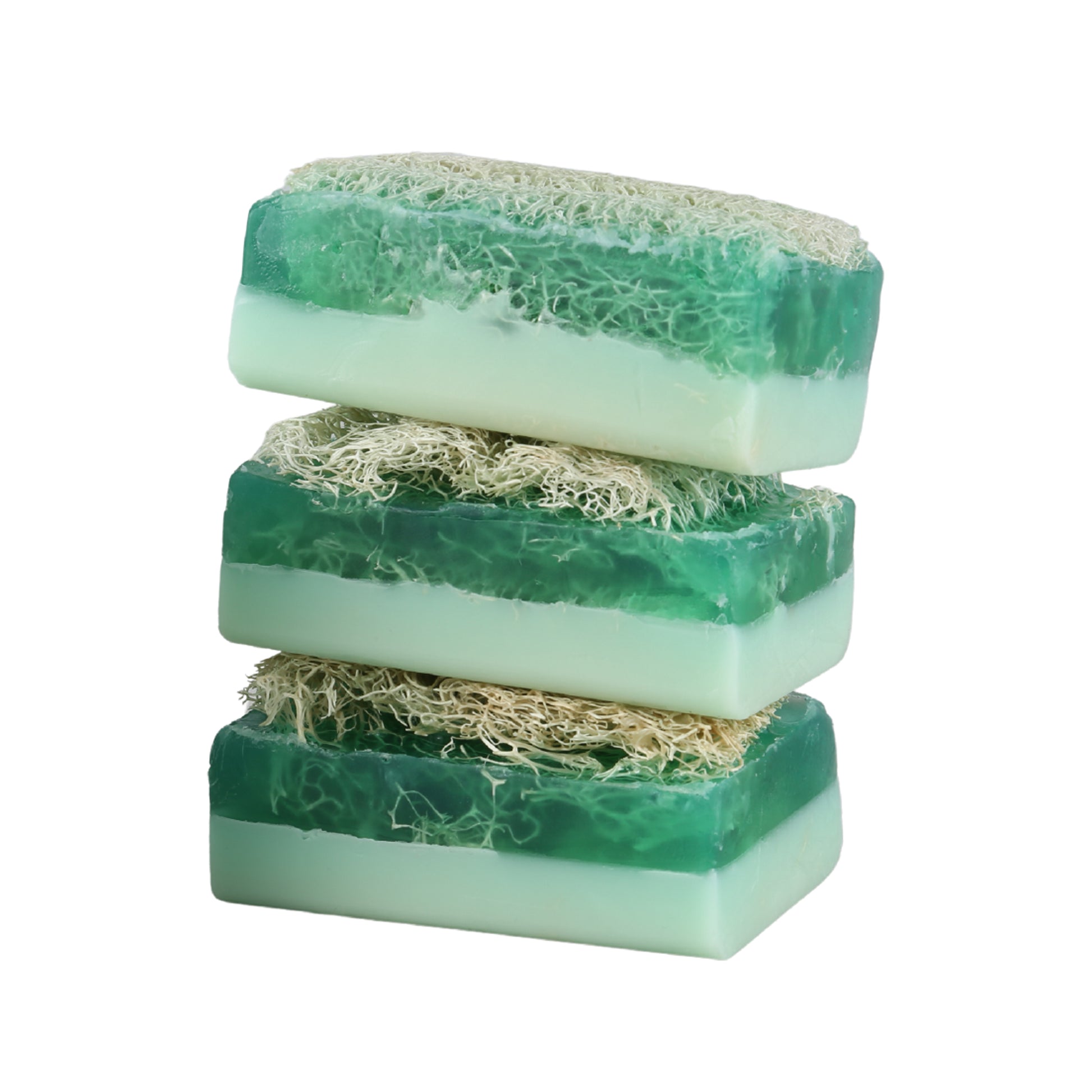 Fresh eucalyptus loofah soap bar from Turkey