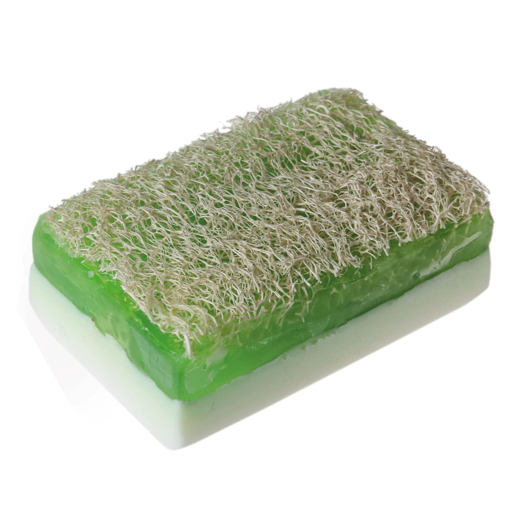 Handmade donkey milk and aloe vera loofah soap