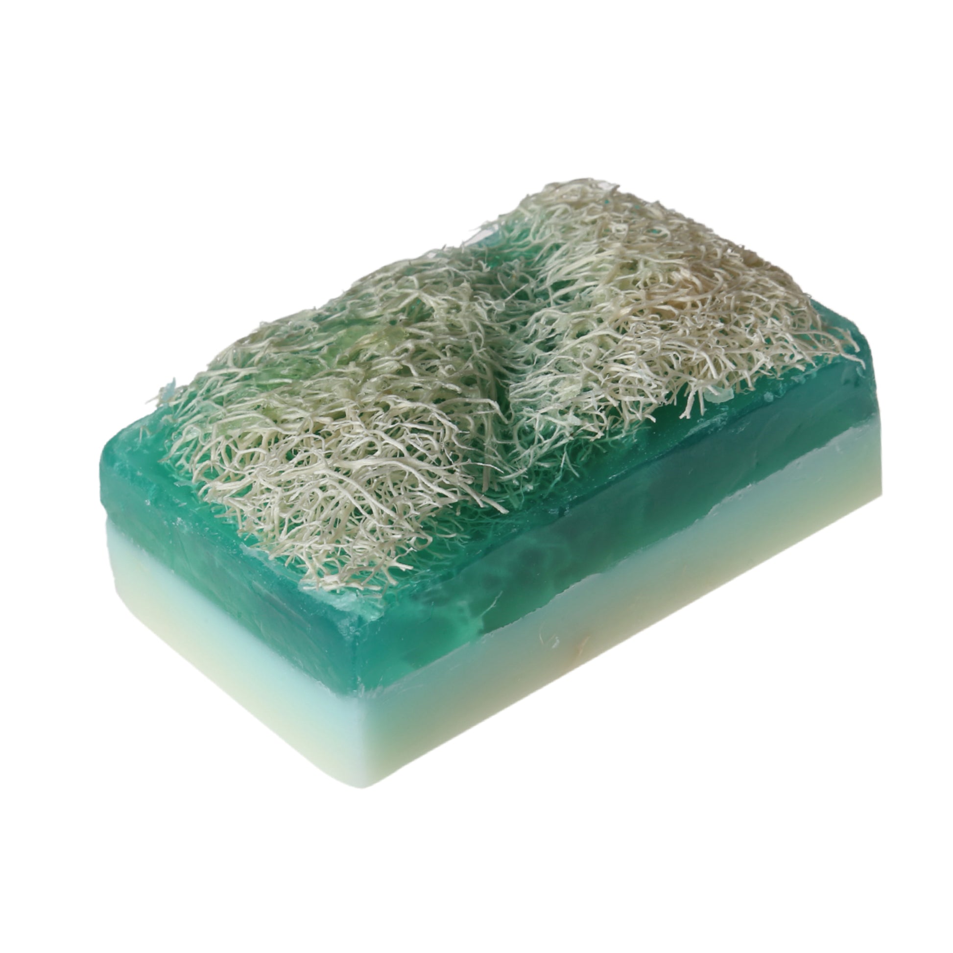 Handmade donkey milk and eucalyptus loofah soap