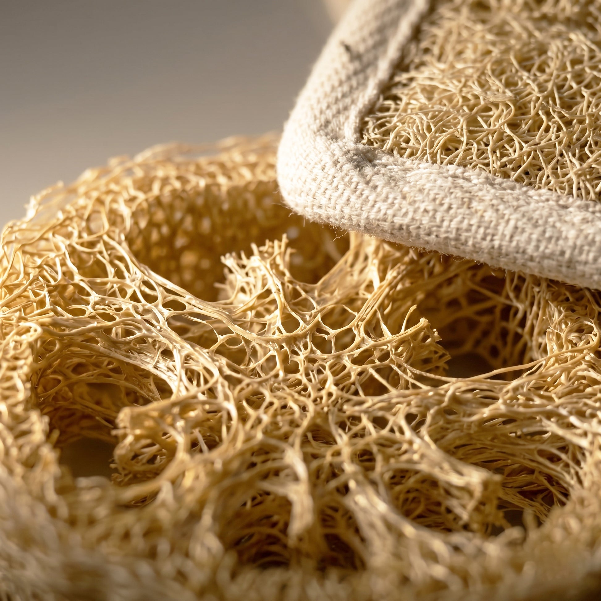 Macro close-up of natural Luffa aegyptiaca fiber on Avlia back scrubber, biodegradable plant-based exfoliator detail