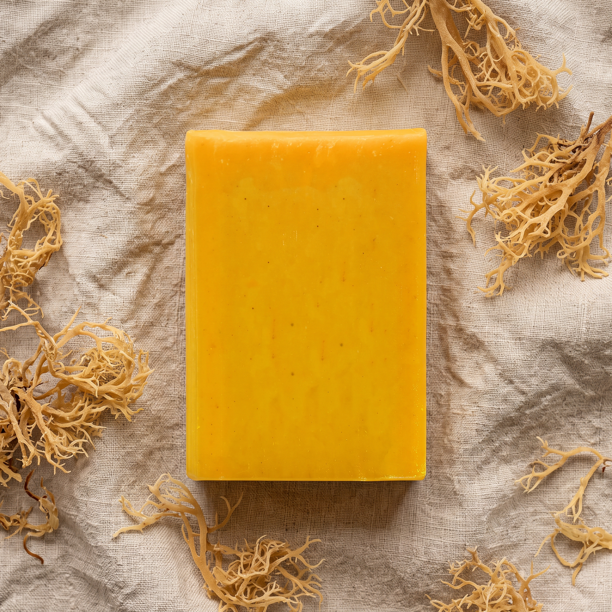 Avlia Sea Moss Soap Bar flat-lay on natural linen with dried sea moss strands