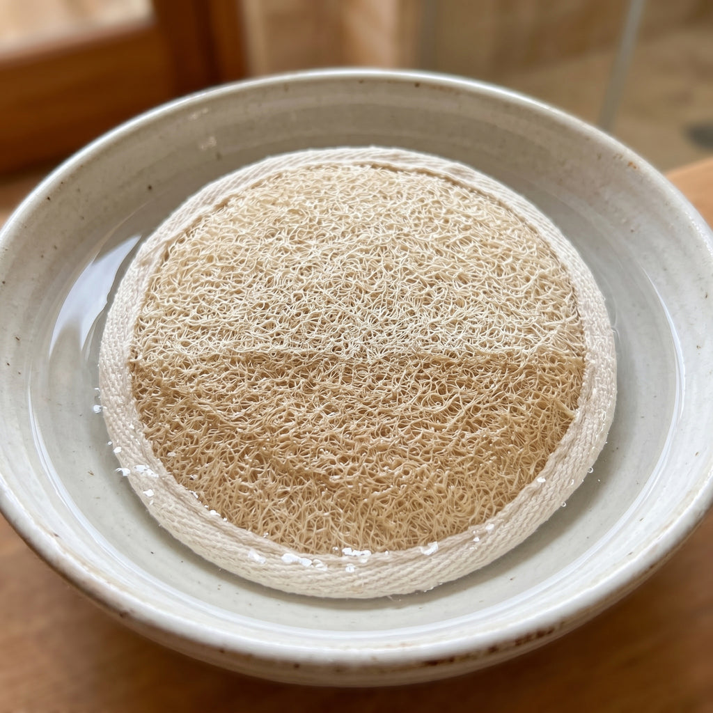 Round natural loofah pad soaking in ceramic bowl of water, demonstrating soak before use care instruction